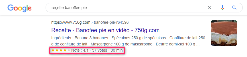 les rich snippets dans les résultats organiques