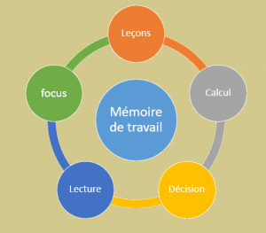 Schéma de la mémoire de travail