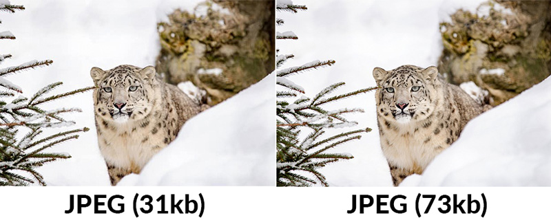 Qualité images jpeg